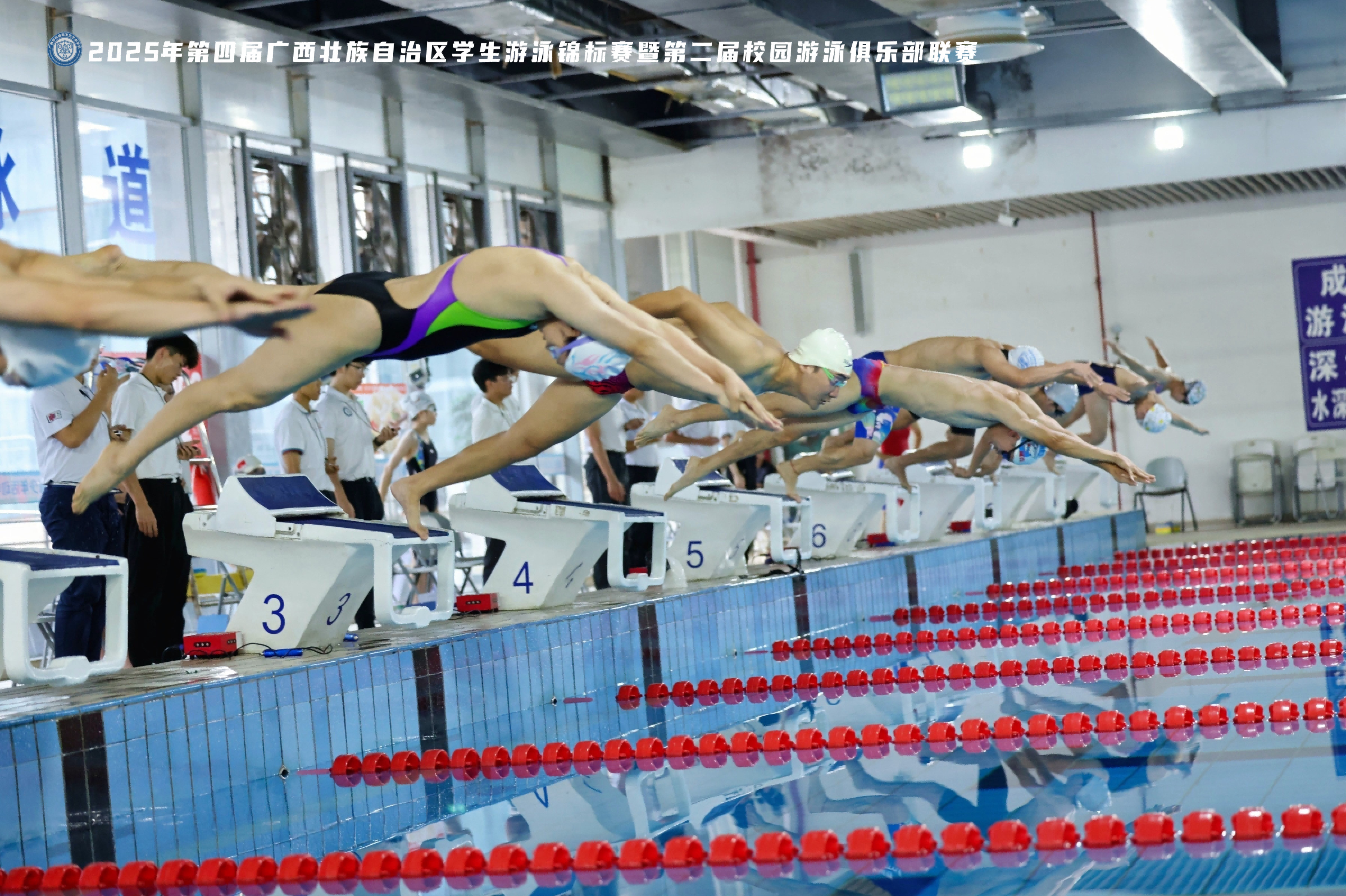 我们学子在第四届广西学生游泳锦标赛荣获3金4银2铜